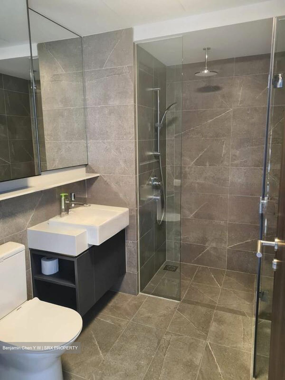 Riverfront Residences (D19), Apartment #452354261